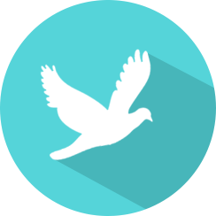 bundle-services-img2